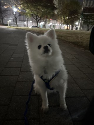 갤러리 이미지
