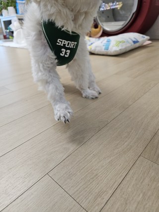 갤러리 이미지
