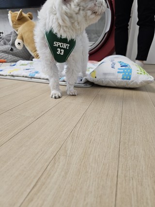 갤러리 이미지