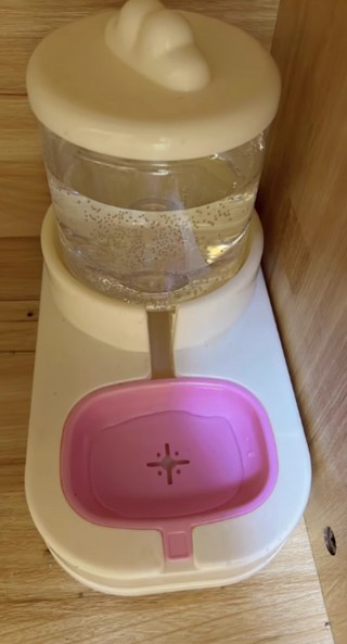 갤러리 이미지