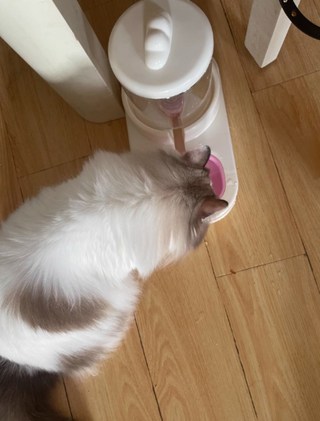갤러리 이미지
