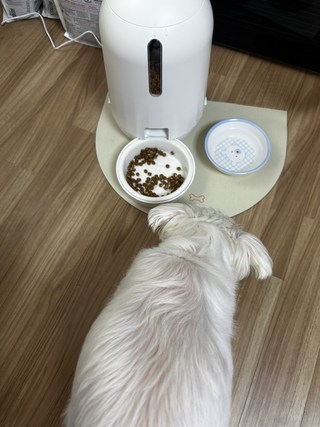갤러리 이미지