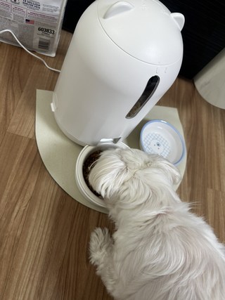 갤러리 이미지