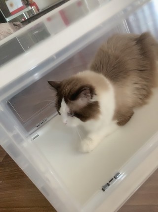 갤러리 이미지