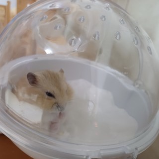 갤러리 이미지