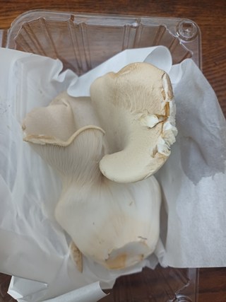 갤러리 이미지