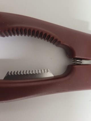 갤러리 이미지