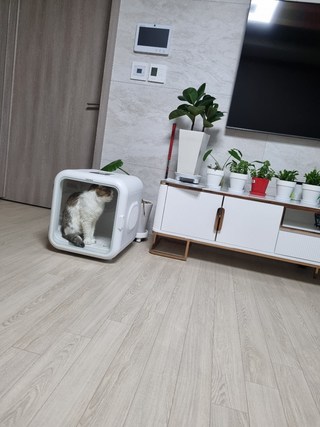 갤러리 이미지