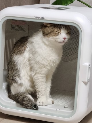 갤러리 이미지