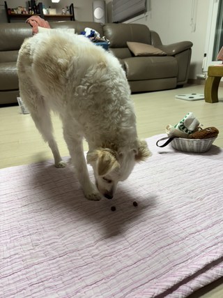 갤러리 이미지