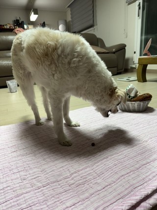 갤러리 이미지