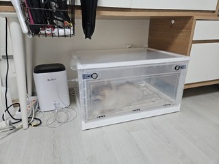 갤러리 이미지