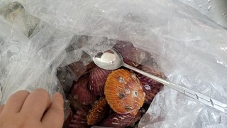갤러리 이미지