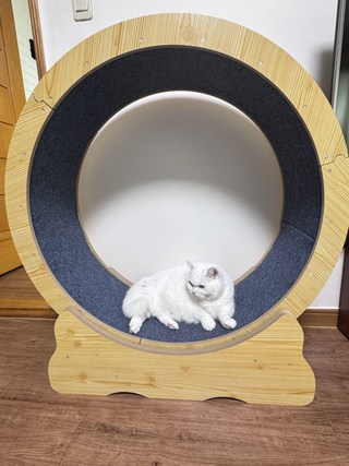 갤러리 이미지