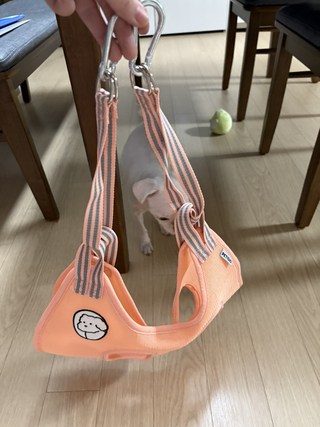 갤러리 이미지