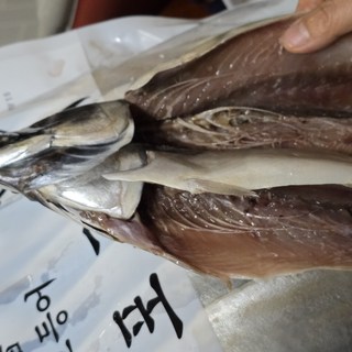 갤러리 이미지