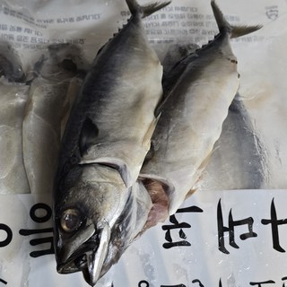 갤러리 이미지