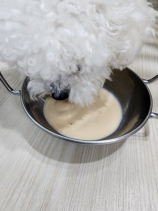 갤러리 이미지