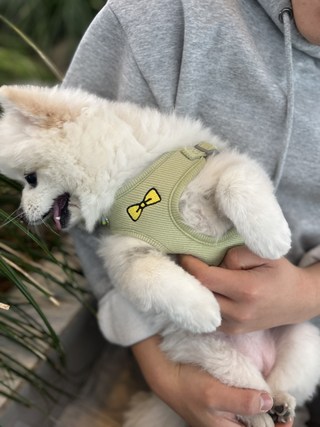 갤러리 이미지
