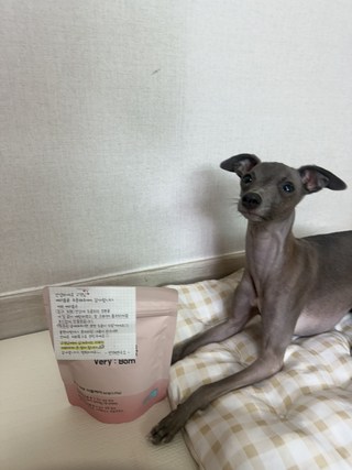 갤러리 이미지