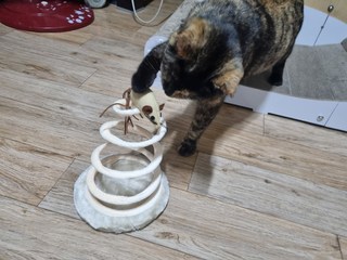 갤러리 이미지