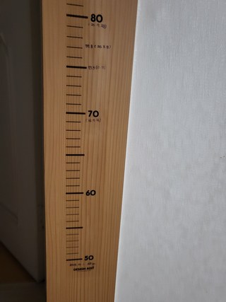 갤러리 이미지