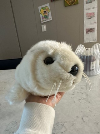 갤러리 이미지
