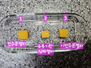갤러리 이미지