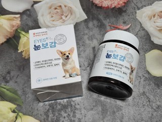 갤러리 이미지