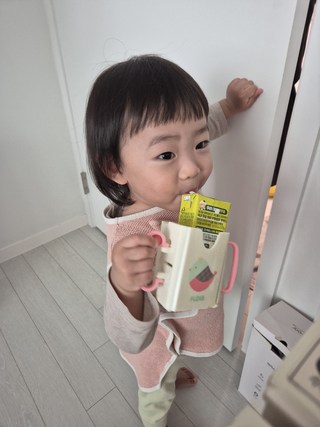 갤러리 이미지