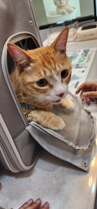 갤러리 이미지