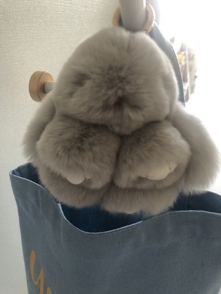 갤러리 이미지