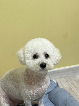 갤러리 이미지