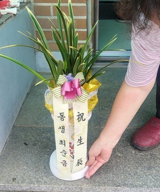 갤러리 이미지