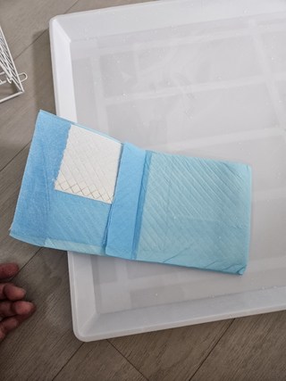 갤러리 이미지