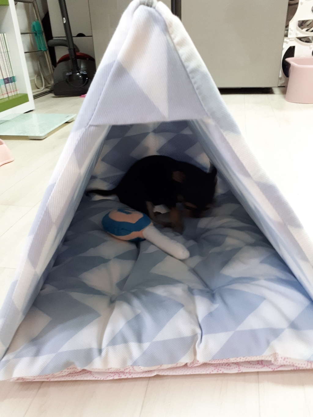레드퍼피 아베노 펫하우스