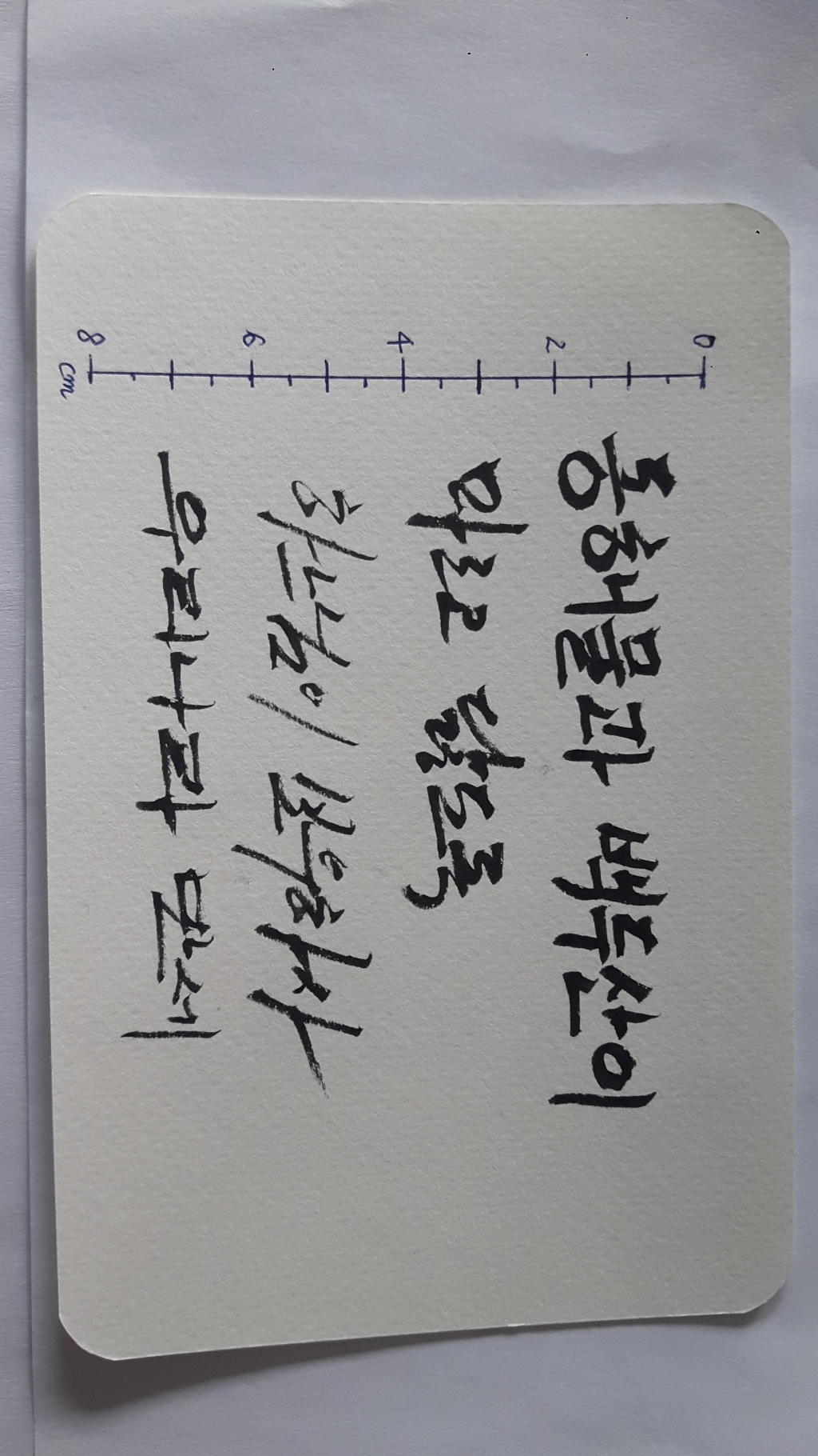펜텔 컬러브러쉬 아트브러쉬 캘리그래피 붓펜 XF