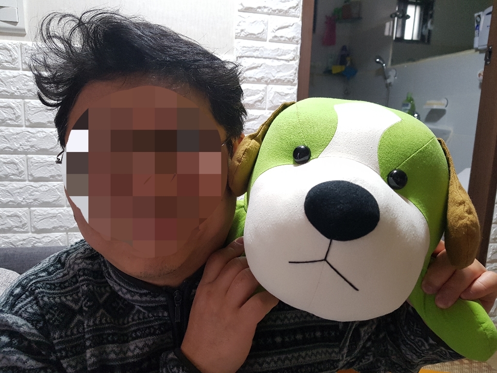 강아지 쿠션커버