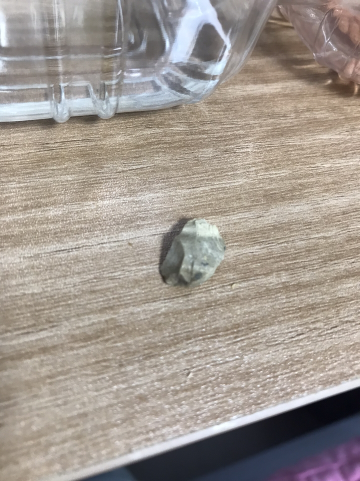 샘아쿠아 리플로 감마루스 거북이 사료