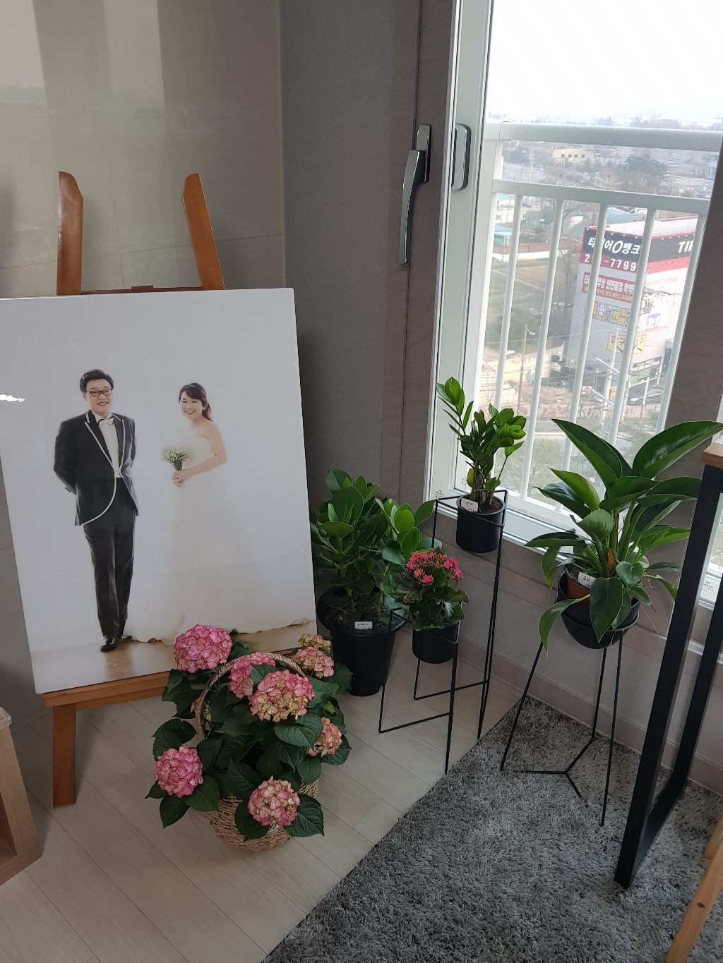룸앤홈 모노스탠드 화분세트 C타입