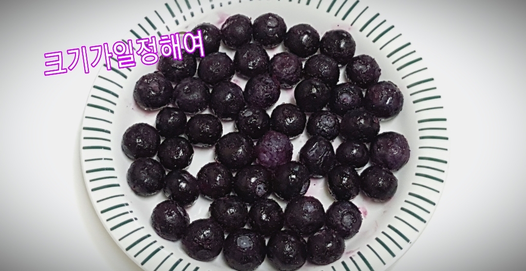 웰프레쉬 냉동 블루베리