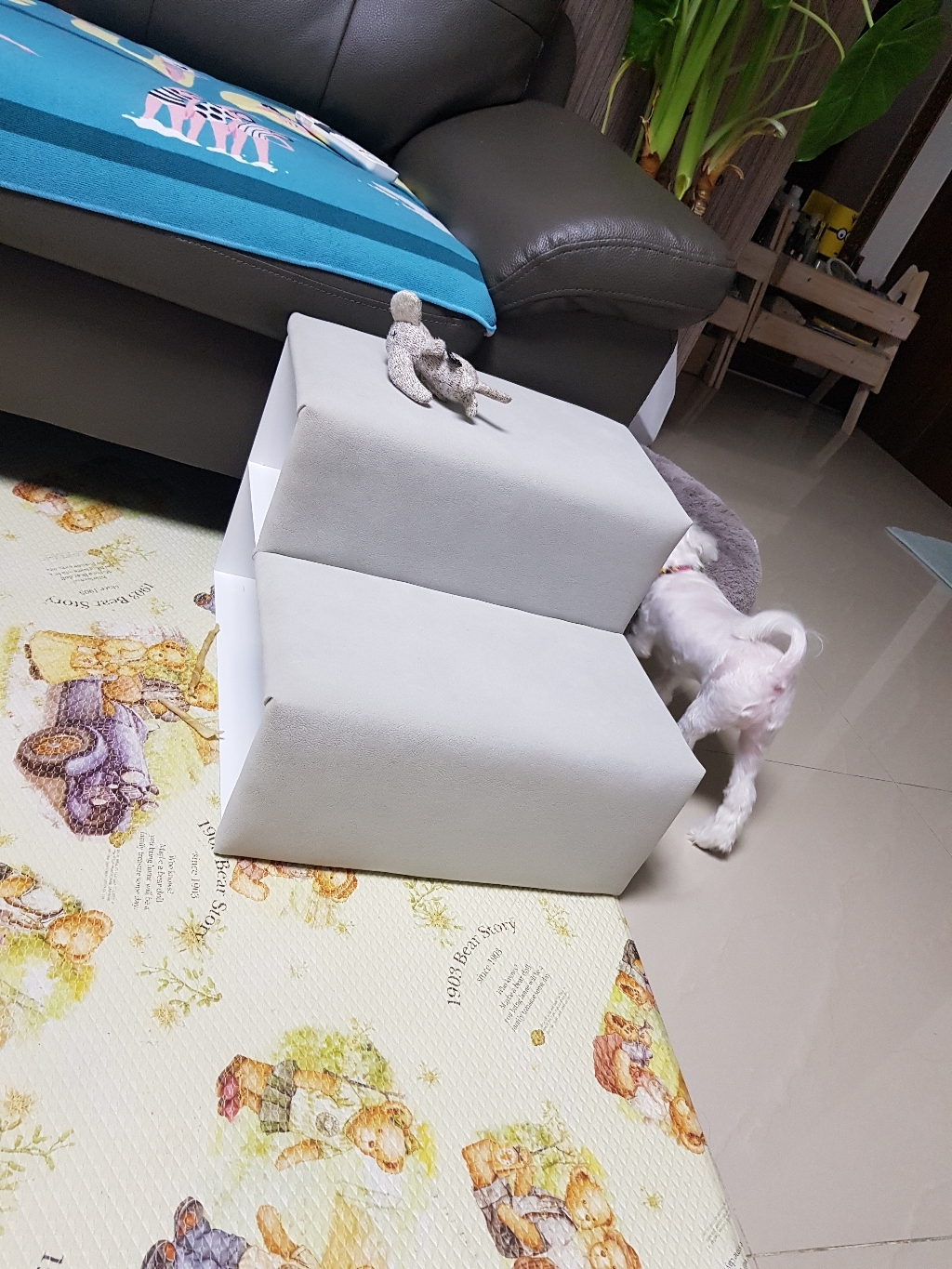 펫토 탄탄 스탠다드형 계단