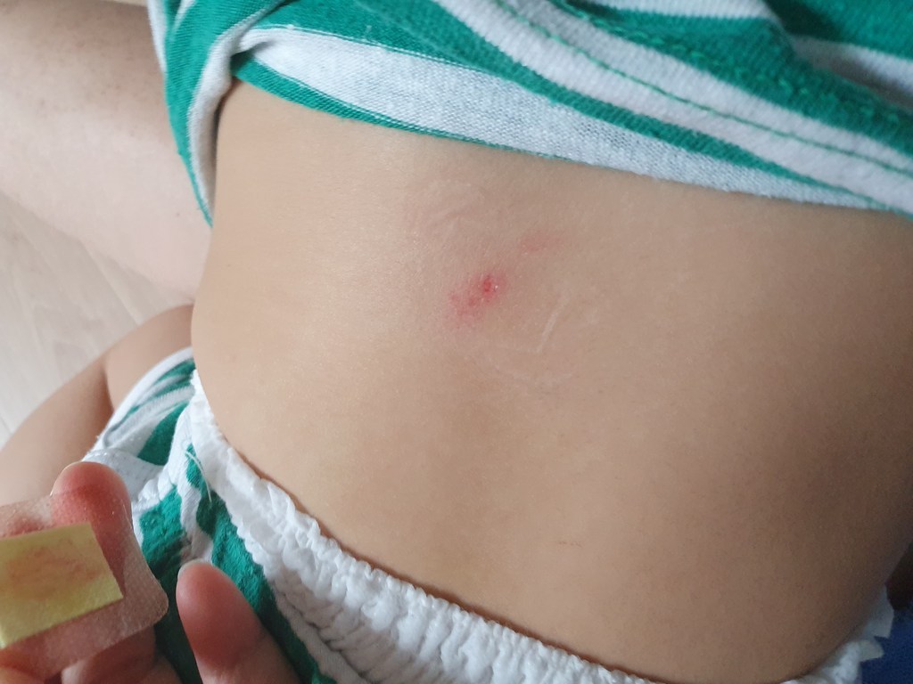 마더스로렐라이 아기욕조 합체형 샴푸 바디 아기 받침