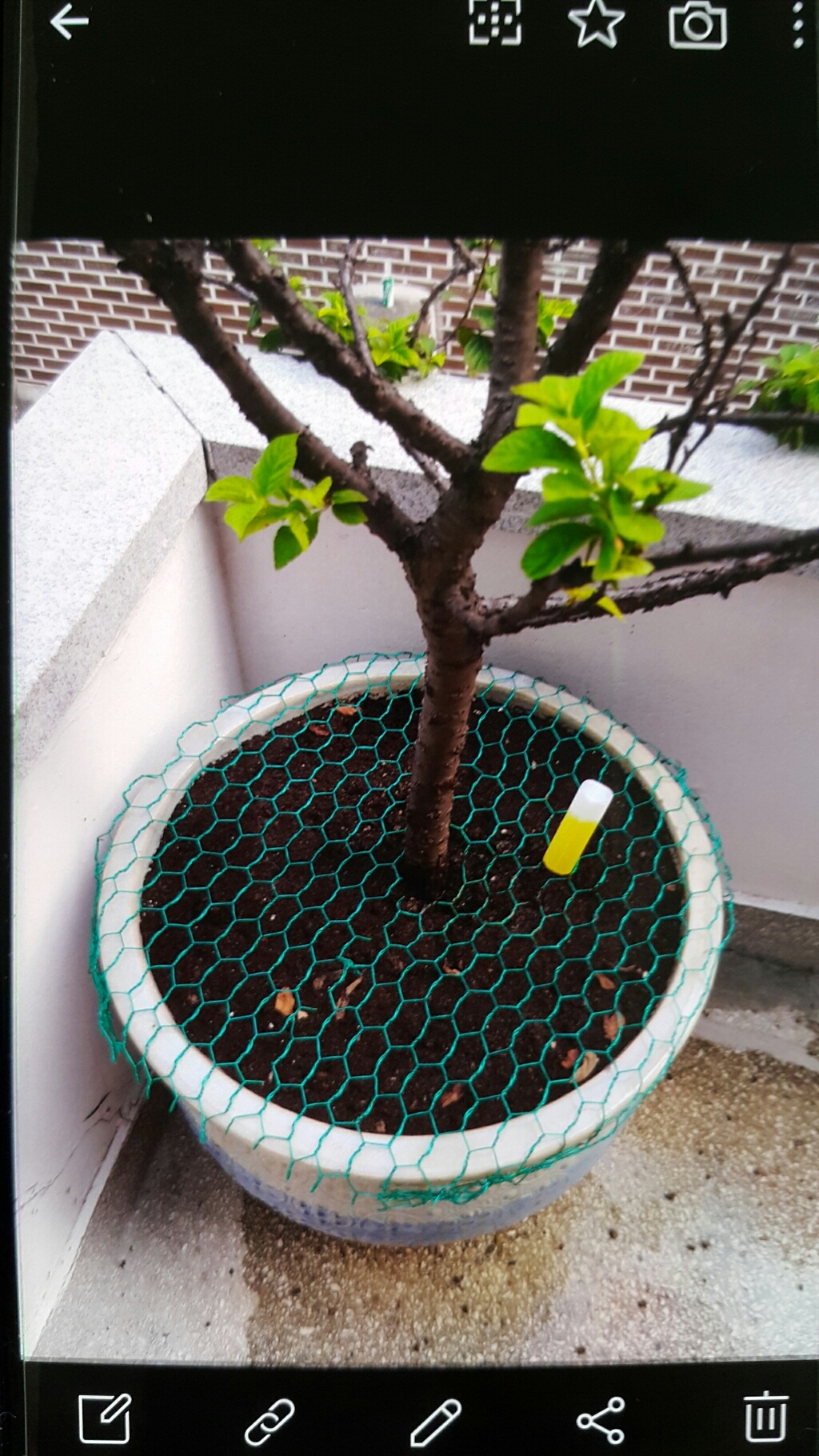 한반도철망 국산 양계망 울타리망 휀스