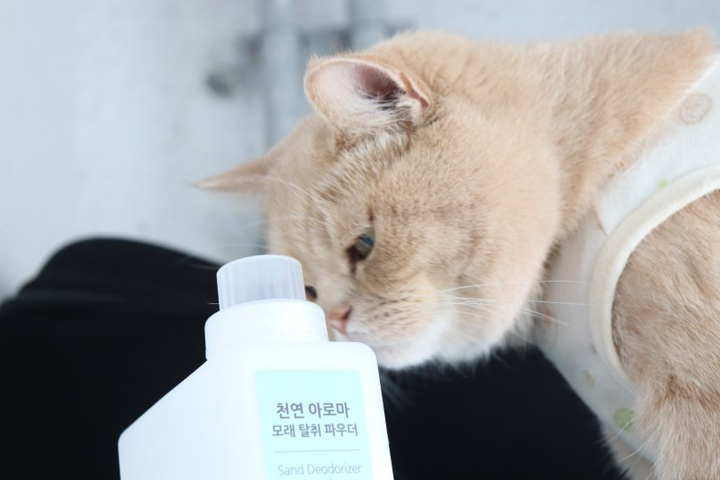 뽀시래기 고양이 아로마 모래 탈취 파우더 리뷰후기