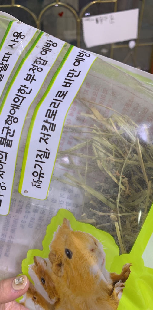 서울아쿠아룸 프리미엄 알파파