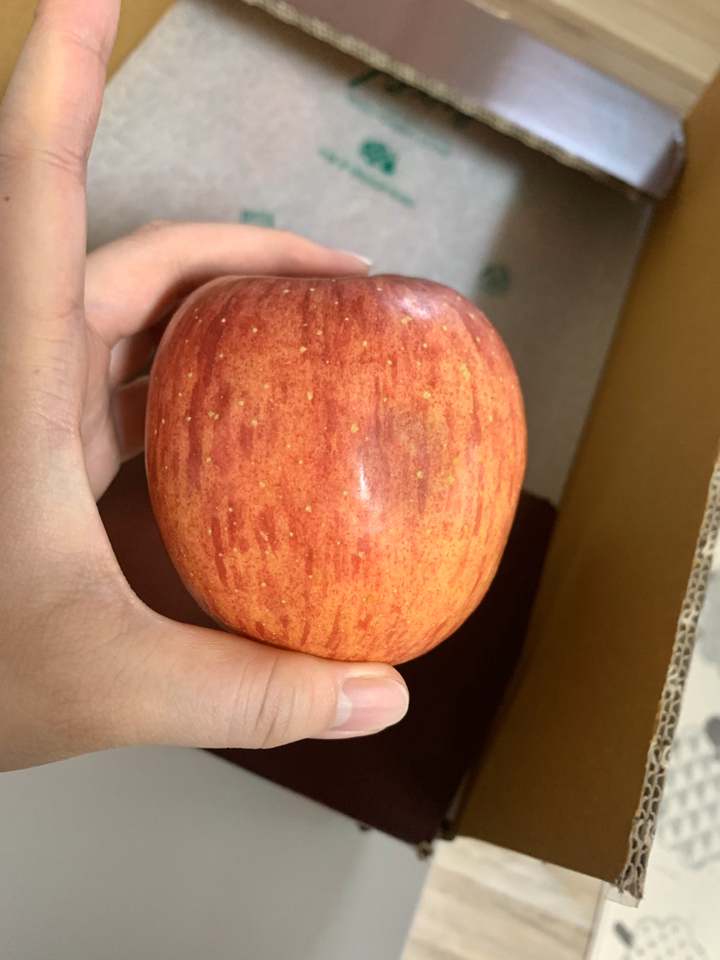 [2022햇사과] 산지애 씻어나온 꿀사과  1box  사과주스  미시마