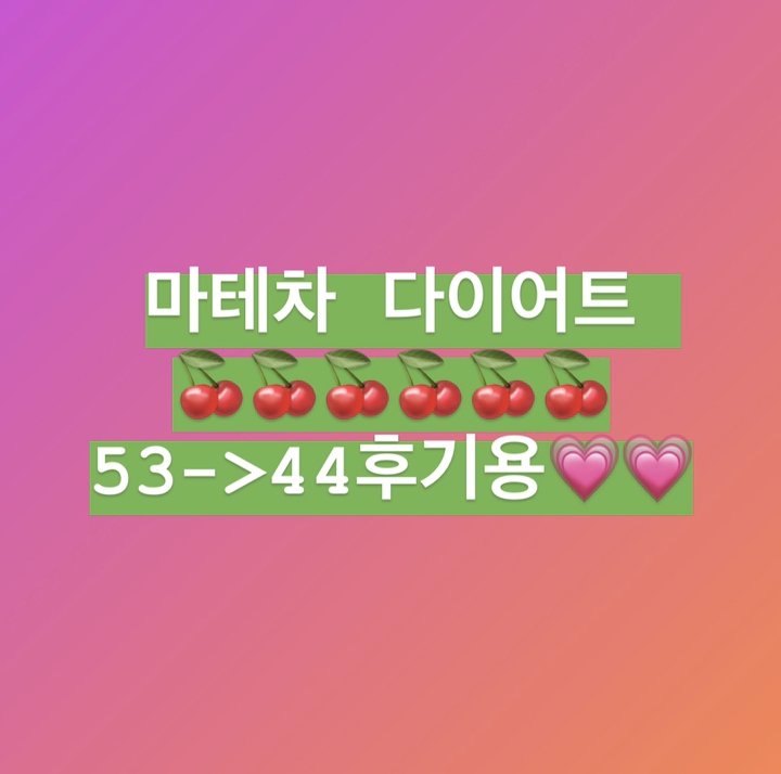 코카콜라 태양의 마테차