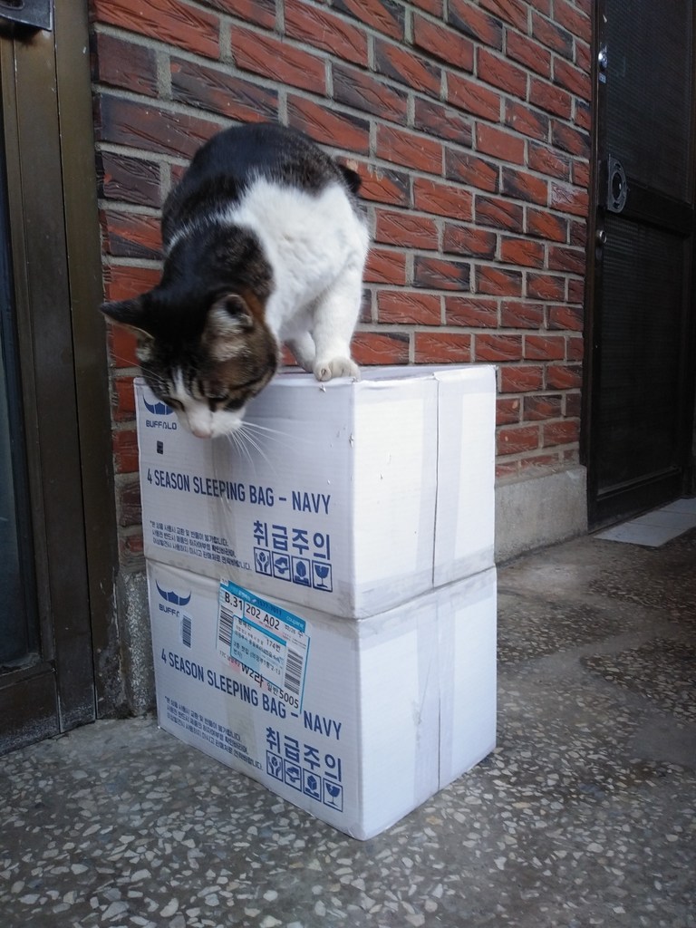 버팔로 스트라움 뉴 포시즌 침낭 리뷰후기