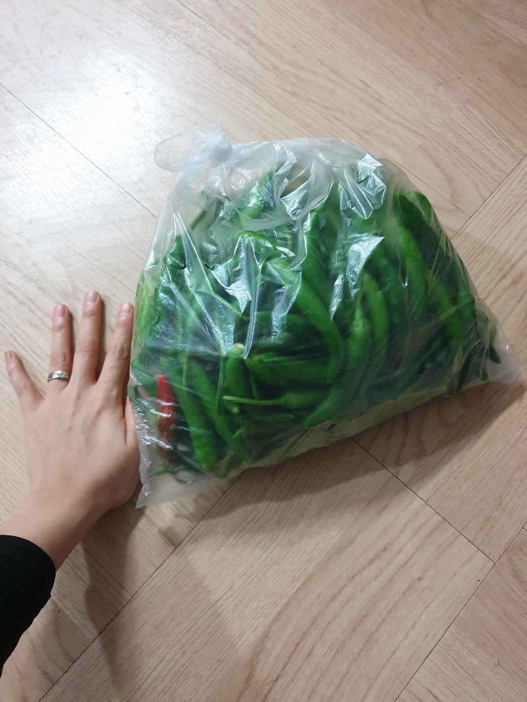 맛있는 청양고추오이고추꽈리고추풋고추 리뷰 후기